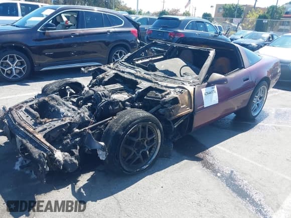 ✅ 1995 Chevrolet Corvette • VIN: 1G1YY22P5S5103138 • Lot: 42846574. Listed on IAAI with Not provided. Free auction sales archive from the USA and detailed vehicle history report at DreamBid. Image 2.