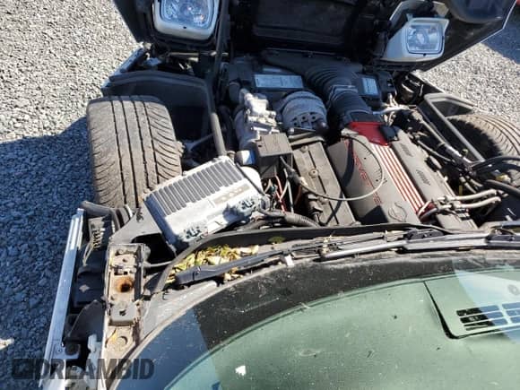 1996 Chevrolet Corvette with VIN 1G1YY225XT5116449, listed as a Copart auction lot 76396214 with Not provided miles and Salvage title. Bid and sale history available at DreamBid. Image 11.