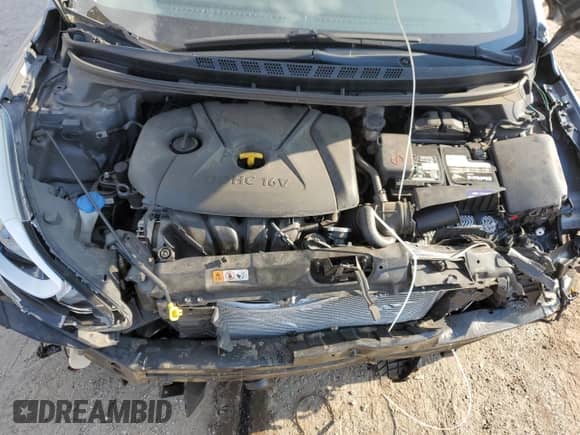 2016 Hyundai Elantra Value Edition with VIN KMHDH4AE6GU592482, listed as a Copart auction lot 81006185 with Not provided miles and Salvage title. Bid and sale history available at DreamBid. Image 11.