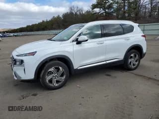 ✅ 2021 Hyundai Santa Fe SEL • VIN: 5NMS3DAJXMH308927 • Lot: 43372364. Wystawiony na Copart z przebiegiem 26 905 mil. Bezpłatny archiwum sprzedaży aukcyjnych z USA i szczegółowy raport historii pojazdu na DreamBid. Zdjęcie 1.
