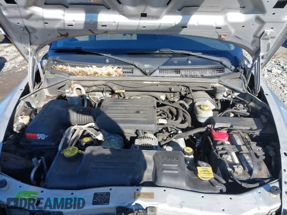 ✅ 2001 Dodge Dakota Sport • VIN: 1B7GL2AN21S158812 • Lot: 41483542. Wystawiony na IAAI z przebiegiem 175 135 mil. Bezpłatny archiwum sprzedaży aukcyjnych z USA i szczegółowy raport historii pojazdu na DreamBid. Zdjęcie 10.