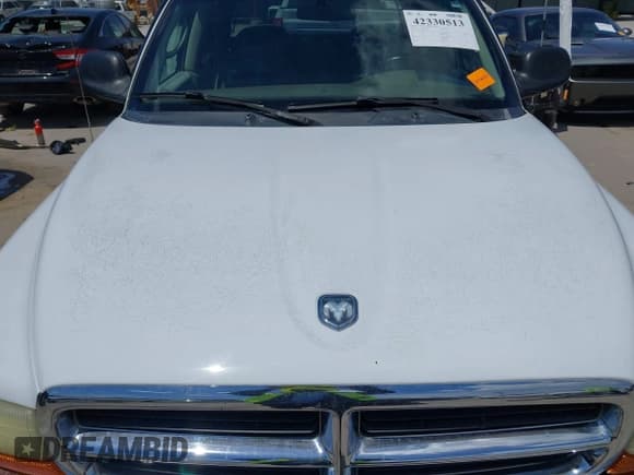 ✅ 2003 Dodge Dakota SLT • VIN: 1D7HL48X73S126440 • Lot: 42330513. Wystawiony na IAAI z przebiegiem 223 959 mil. Bezpłatny archiwum sprzedaży aukcyjnych z USA i szczegółowy raport historii pojazdu na DreamBid. Zdjęcie 19.