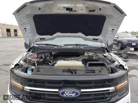 ✅ 2024 Ford F-150 • VIN: 1FTEX3KP9RKF32071 • Lot: 43160008. Listed on IAAI with 20,089 mi. Free auction sales archive from the USA and detailed vehicle history report at DreamBid. Image 10.