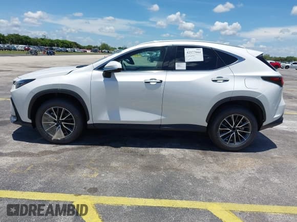 ✅ 2025 Lexus NX 250 Premium • VIN: 2T2GDCAZ5SC025045 • Lot: 42577944. Listed on IAAI with Not provided. Free auction sales archive from the USA and detailed vehicle history report at DreamBid. Image 15.