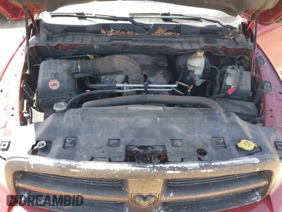 ✅ 2010 Dodge 1500 SLT • VIN: 1D7RV1CT4AS186481 • Lot: 41977635. Wystawiony na IAAI z przebiegiem 196 131 mil. Bezpłatny archiwum sprzedaży aukcyjnych z USA i szczegółowy raport historii pojazdu na DreamBid. Zdjęcie 10.