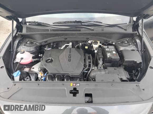 ✅ 2023 Hyundai Santa Fe SE • VIN: 5NMS1DAJ7PH636414 • Lot: 82701943. Wystawiony na Copart z przebiegiem 2 530 mil. Bezpłatny archiwum sprzedaży aukcyjnych z USA i szczegółowy raport historii pojazdu na DreamBid. Zdjęcie 13.