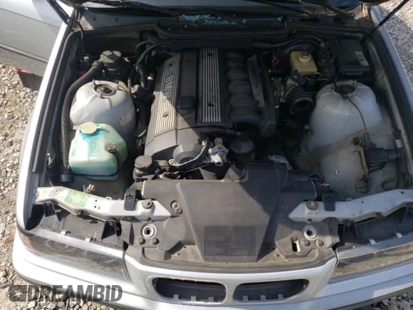 ✅ 1997 BMW 3 Series 328i • VIN: WBACD4327VAV46962 • Лот: 56377905. Опубликован ранее на Copart с пробегом Не указан. Бесплатный доступ к архиву аукционных продаж из США и подробный отчёт об истории автомобиля на DreamBid. Изображение 11.