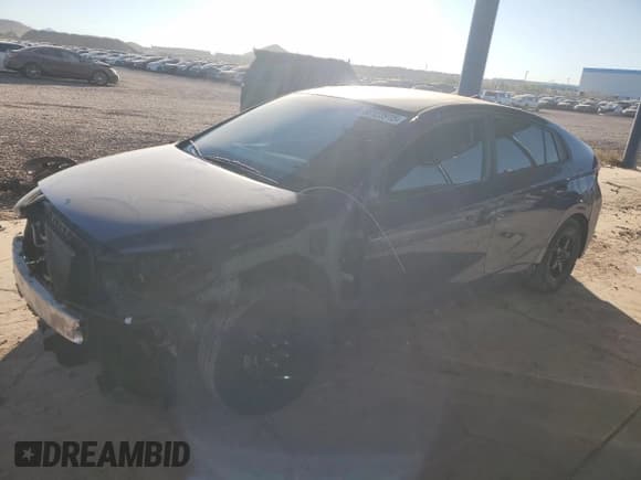 ✅ 2019 Hyundai Ioniq Blue • VIN: KMHC65LC0KU173894 • Lot: 88123915. Wystawiony na Copart z przebiegiem 191 479 mil. Bezpłatny archiwum sprzedaży aukcyjnych z USA i szczegółowy raport historii pojazdu na DreamBid. Zdjęcie 1.