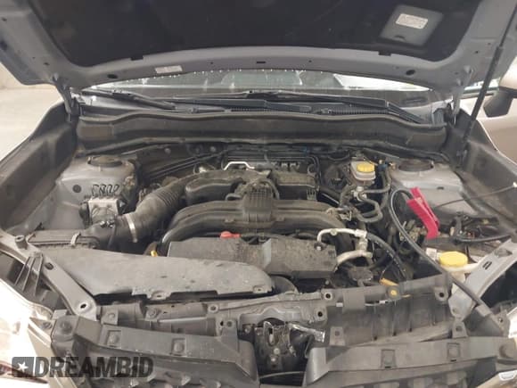 ✅ 2014 Subaru Forester Premium • VIN: JF2SJAEC1EH441449 • Lot: 43096280. Wystawiony na IAAI z przebiegiem 109 570 mil. Bezpłatny archiwum sprzedaży aukcyjnych z USA i szczegółowy raport historii pojazdu na DreamBid. Zdjęcie 10.