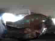 2016 Hyundai Elantra SE с VIN 5NPDH4AEXGH708524, выставлен на аукционе IAAI как лот 43324666 с пробегом Не указан миль и . История ставок и продаж доступна на DreamBid. Изображение 17.