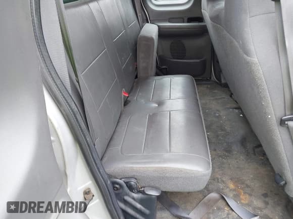 ✅ 2002 Ford F-150 XL • VIN: 1FTRX18L52NB18963 • Lot: 42042014. Wystawiony na IAAI z przebiegiem 229 262 mil. Bezpłatny archiwum sprzedaży aukcyjnych z USA i szczegółowy raport historii pojazdu na DreamBid. Zdjęcie 8.