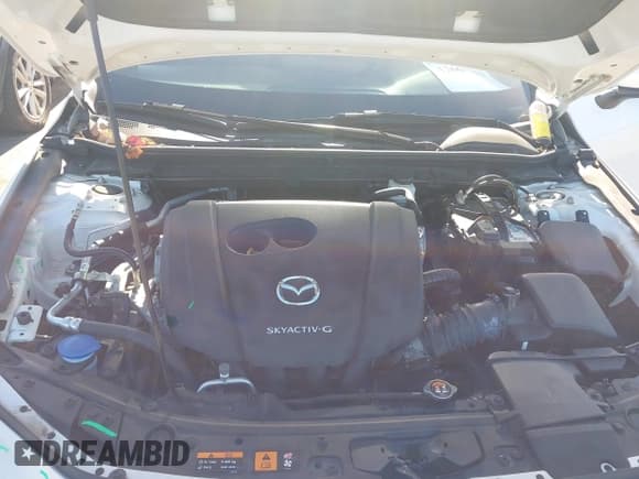 ✅ 2019 Mazda 3 • VIN: JM1BPAJM5K1141896 • Lot: 43667163. Listed on IAAI with 87,269 mi. Free auction sales archive from the USA and detailed vehicle history report at DreamBid. Image 10.