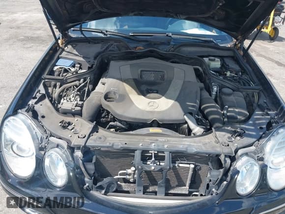 ✅ 2008 Mercedes-Benz E 550 Sport • VIN: WDBUF72X28B246842 • Лот: 42893531. Опубликован ранее на IAAI с пробегом 159 244 миль. Бесплатный доступ к архиву аукционных продаж из США и подробный отчёт об истории автомобиля на DreamBid. Изображение 10.