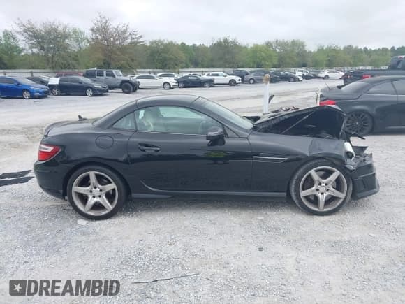 ✅ 2014 Mercedes-Benz SLK 250 • VIN: WDDPK4HA4EF079437 • Lot: 41958020. Wystawiony na IAAI z przebiegiem 95 063 mil. Bezpłatny archiwum sprzedaży aukcyjnych z USA i szczegółowy raport historii pojazdu na DreamBid. Zdjęcie 13.