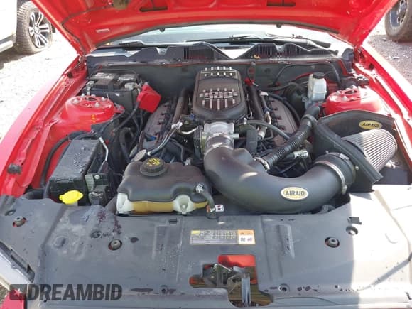 ✅ 2014 Ford Mustang GT • VIN: 1ZVBP8CF5E5200625 • Lot: 43207991. Listed on IAAI with 122,978 mi. Free auction sales archive from the USA and detailed vehicle history report at DreamBid. Image 10.