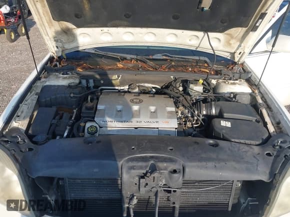 ✅ 2000 Cadillac DeVille • VIN: 1G6KF5790YU332178 • Lot: 42786520. Wystawiony na IAAI z przebiegiem 145 862 mil. Bezpłatny archiwum sprzedaży aukcyjnych z USA i szczegółowy raport historii pojazdu na DreamBid. Zdjęcie 10.