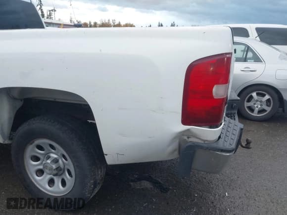 ✅ 2009 Chevrolet Silverado 1500 Work Truck • VIN: 1GCEC14X39Z223667 • Lot: 43647205. Listed on IAAI with 204,585 mi. Free auction sales archive from the USA and detailed vehicle history report at DreamBid. Image 12.