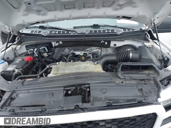 ✅ 2020 Ford F-150 XL • VIN: 1FTEW1CP2LFB98438 • Lot: 43185607. Listed on IAAI with 136,363 mi. Free auction sales archive from the USA and detailed vehicle history report at DreamBid. Image 10.