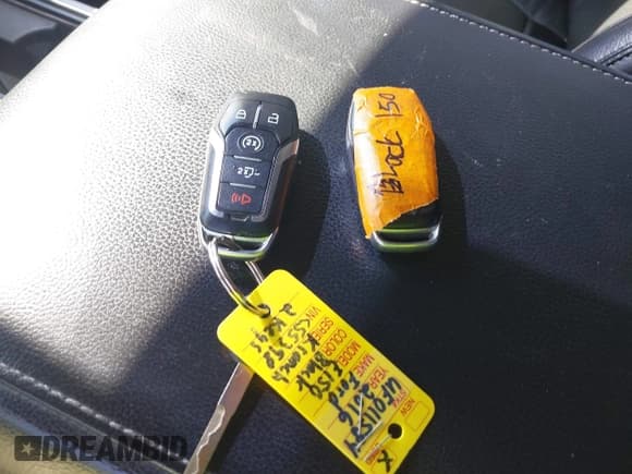 ✅ 2016 Ford F-150 Platinum • VIN: 1FTEW1EG2GFC55398 • Lot: 43474053. Wystawiony na IAAI z przebiegiem 218 679 mil. Bezpłatny archiwum sprzedaży aukcyjnych z USA i szczegółowy raport historii pojazdu na DreamBid. Zdjęcie 11.