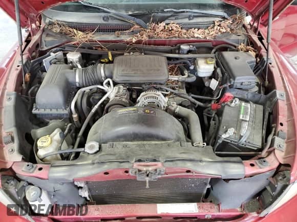 2008 Dodge Dakota SLT z VIN 1D7HE48K18S514298, wystawiony jako Copart lot #52904015 z przebiegiem 117 512 mil mil oraz Szkoda całkowita • Salvage title. Historia ofert i sprzedaży dostępna na DreamBid. Obrazek 11.