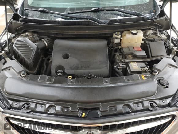 ✅ 2019 Buick Enclave Preferred • VIN: 5GAERAKW1KJ215999 • Lot: 61217185. Listed on Copart with 110,098 mi. Free auction sales archive from the USA and detailed vehicle history report at DreamBid. Image 12.