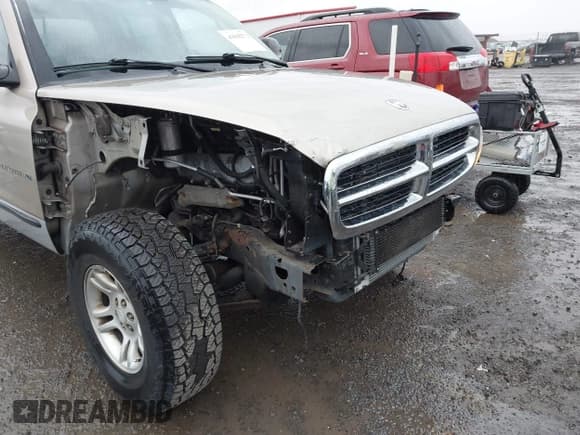 ✅ 2002 Dodge Dakota SLT • VIN: 1B7HG48N22S552578 • Lot: 43618272. Wystawiony na IAAI z przebiegiem 162 459 mil. Bezpłatny archiwum sprzedaży aukcyjnych z USA i szczegółowy raport historii pojazdu na DreamBid. Zdjęcie 6.