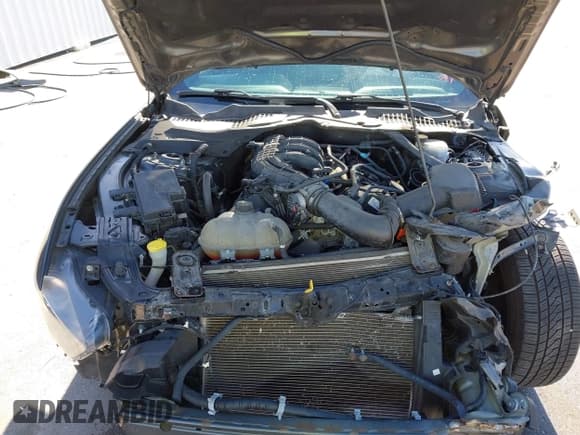 ✅ 2017 Ford Mustang V6 • VIN: 1FATP8EM2H5211997 • Lot: 43497223. Wystawiony na IAAI z przebiegiem 77 705 mil. Bezpłatny archiwum sprzedaży aukcyjnych z USA i szczegółowy raport historii pojazdu na DreamBid. Zdjęcie 10.