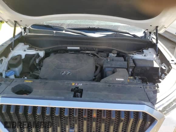 2020 Hyundai Palisade SE z VIN KM8R14HE1LU052385, wystawiony jako Copart lot #71773294 z przebiegiem 55 794 mil mil oraz Szkoda całkowita • Salvage title. Historia ofert i sprzedaży dostępna na DreamBid. Obrazek 12.