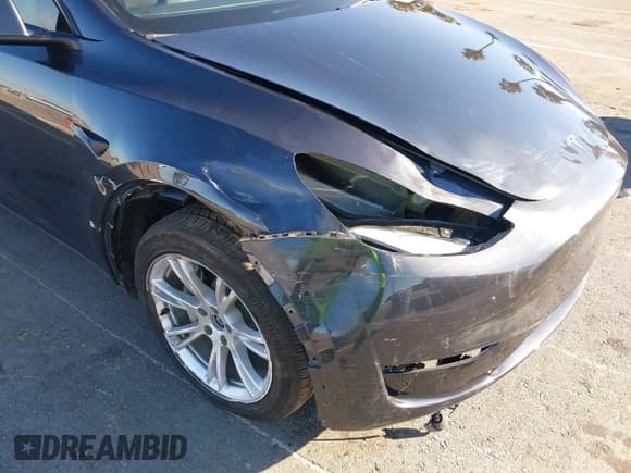 ✅ 2024 Tesla Model Y • VIN: 7SAYGDED7RF097801 • Lot: 43345626. Wystawiony na IAAI z przebiegiem 12 959 mil. Bezpłatny archiwum sprzedaży aukcyjnych z USA i szczegółowy raport historii pojazdu na DreamBid. Zdjęcie 6.