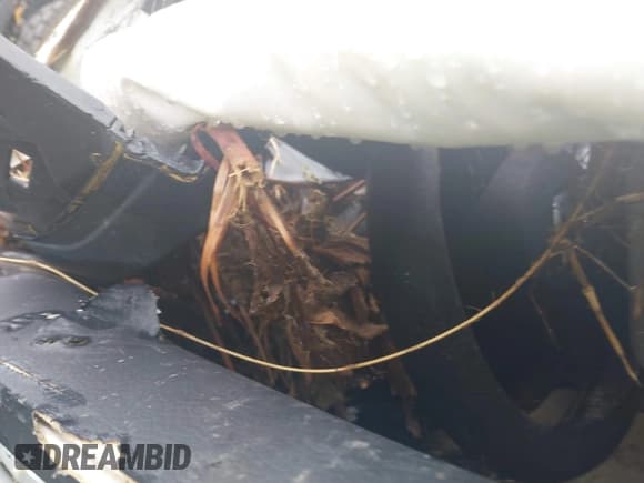 ✅ 2017 Nissan Rogue S • VIN: JN1BJ1CR8HW137088 • Лот: 42607565. Опубликован ранее на IAAI с пробегом Не указан. Бесплатный доступ к архиву аукционных продаж из США и подробный отчёт об истории автомобиля на DreamBid. Изображение 15.