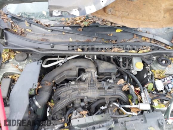 ✅ 2019 Subaru Forester Limited • VIN: JF2SKAUC3KH479887 • Лот: 43587592. Опубликован ранее на IAAI с пробегом 135 743 миль. Бесплатный доступ к архиву аукционных продаж из США и подробный отчёт об истории автомобиля на DreamBid. Изображение 10.