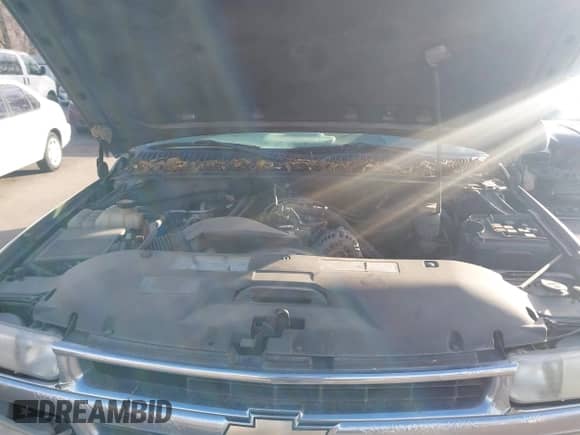 2000 Chevrolet Suburban LT с VIN 3GNFK16T5YG157999, выставлен на аукционе IAAI как лот 41720900 с пробегом 307 085 миль миль и . История ставок и продаж доступна на DreamBid. Изображение 10.