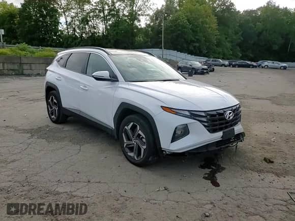 2022 Hyundai Tucson SEL Convenience z VIN KM8JFCA18NU035571, wystawiony jako Copart lot #80127105 z przebiegiem 41 054 mil mil oraz Szkoda całkowita • Salvage title. Historia ofert i sprzedaży dostępna na DreamBid. Obrazek 15.