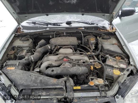 ✅ 2009 Subaru Outback • VIN: 4S4BP60C197340369 • Lot: 86751544. Listed on Copart with 133,304 mi. Free auction sales archive from the USA and detailed vehicle history report at DreamBid. Image 13.