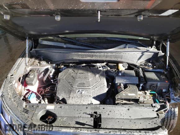 ✅ 2025 Hyundai Palisade SEL • VIN: KM8R2DGE2SU848205 • Лот: 83881984. Опубликован ранее на Copart с пробегом 3 172 миль. Бесплатный доступ к архиву аукционных продаж из США и подробный отчёт об истории автомобиля на DreamBid. Изображение 12.