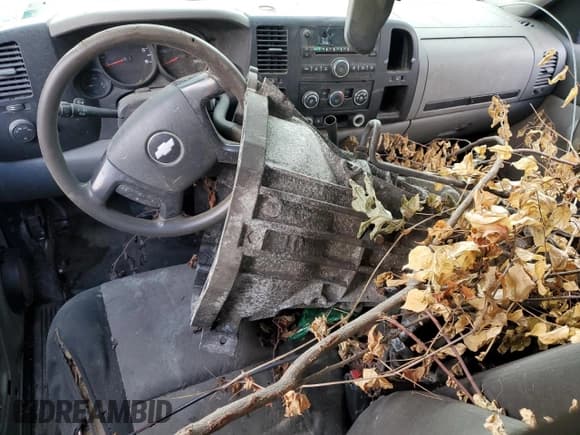 ✅ 2009 Chevrolet Silverado 1500 1LT • VIN: 1GCEK19J89Z147998 • Lot: 74499684. Listed on Copart with Not provided. Free auction sales archive from the USA and detailed vehicle history report at DreamBid. Image 8.