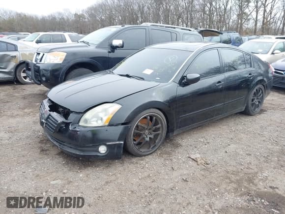 ✅ 2005 Nissan Maxima SL • VIN: 1N4BA41E25C842647 • Lot: 41851824. Listed on IAAI with Not provided. Free auction sales archive from the USA and detailed vehicle history report at DreamBid. Image 2.