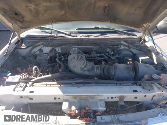 ✅ 2001 Ford Expedition XLT • VIN: 1FMPU16L31LA01519 • Лот: 43596363. Опубликован ранее на IAAI с пробегом Не указан. Бесплатный доступ к архиву аукционных продаж из США и подробный отчёт об истории автомобиля на DreamBid. Изображение 10.