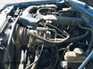 ✅ 1987 Ford Ranger • VIN: 1FTCR15T5HPB40124 • Lot: 42177557. Listed on IAAI with 7,957 mi. Free auction sales archive from the USA and detailed vehicle history report at DreamBid. Image 11.