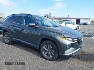 2022 Hyundai Tucson Blue с VIN KM8JBCA19NU020489, выставлен на аукционе IAAI как лот 43134009 с пробегом 45 333 миль миль и . История ставок и продаж доступна на DreamBid. Изображение 1.