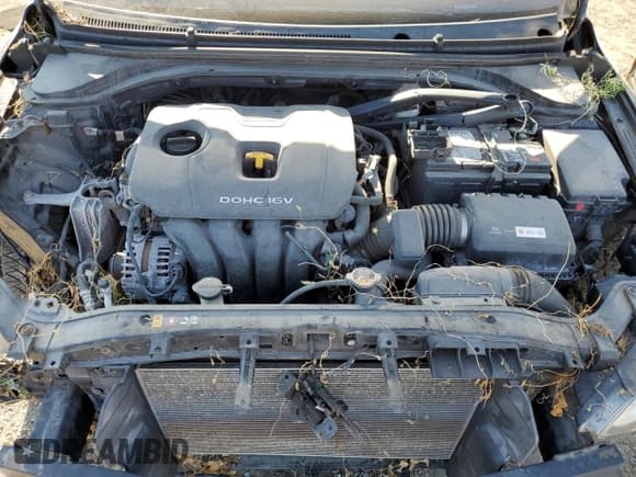 ✅ 2017 Hyundai Elantra SE • VIN: KMHD84LF1HU124571 • Lot: 80214415. Listed on Copart with 154,824 mi. Free auction sales archive from the USA and detailed vehicle history report at DreamBid. Image 11.