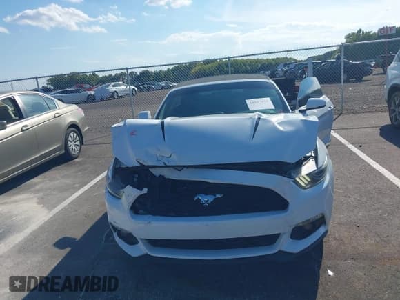 ✅ 2016 Ford Mustang EcoBoost Premium • VIN: 1FATP8UH6G5253611 • Lot: 43107418. Wystawiony na IAAI z przebiegiem 134 471 mil. Bezpłatny archiwum sprzedaży aukcyjnych z USA i szczegółowy raport historii pojazdu na DreamBid. Zdjęcie 6.
