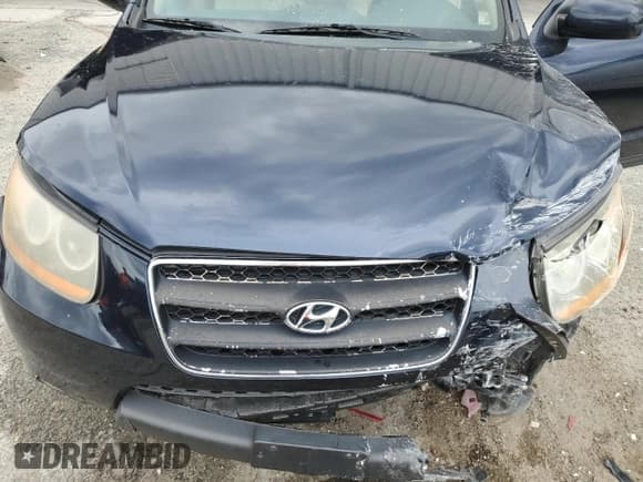 ✅ 2009 Hyundai Santa Fe Limited • VIN: 5NMSH73E89H320259 • Lot: 73205174. Listed on Copart with 151,005 mi. Free auction sales archive from the USA and detailed vehicle history report at DreamBid. Image 12.