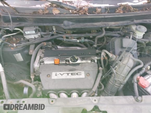 ✅ 2005 Honda Element LX • VIN: 5J6YH18325L016393 • Lot: 42679629. Listed on IAAI with 215,770 mi. Free auction sales archive from the USA and detailed vehicle history report at DreamBid. Image 10.