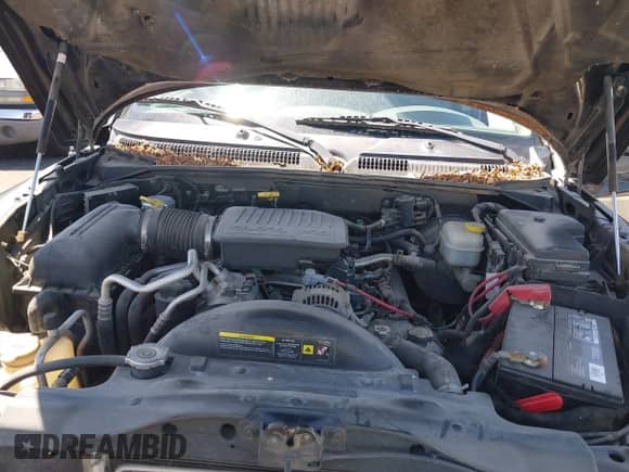 2006 Dodge Dakota SLT with VIN 1D7HE48J46S653796, listed as a IAAI auction lot 42700403 with 130,082 mi miles and . Bid and sale history available at DreamBid. Image 9.