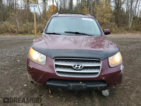 ✅ 2007 Hyundai Santa Fe SE • VIN: 5NMSH73EX7H062078 • Lot: 78164024. Listed on Copart with 231,501 mi. Free auction sales archive from the USA and detailed vehicle history report at DreamBid. Image 5.