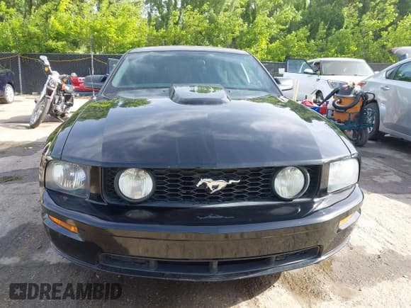 ✅ 2009 Ford Mustang GT • VIN: 1ZVHT82H495106704 • Лот: 42255540. Опубликован ранее на IAAI с пробегом 61 588 миль. Бесплатный доступ к архиву аукционных продаж из США и подробный отчёт об истории автомобиля на DreamBid. Изображение 13.