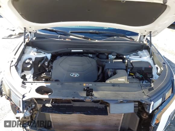 ✅ 2023 Hyundai Palisade Limited • VIN: KM8R54GE7PU566026 • Лот: 41211590. Опубликован ранее на IAAI с пробегом 31 175 миль. Бесплатный доступ к архиву аукционных продаж из США и подробный отчёт об истории автомобиля на DreamBid. Изображение 10.