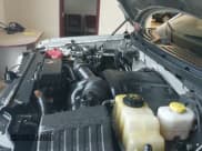 ✅ 2014 Ford F-150 XL • VIN: 1FTFX1ET2EKF80944 • Lot: 42424484. Wystawiony na IAAI z przebiegiem 317 758 mil. Bezpłatny archiwum sprzedaży aukcyjnych z USA i szczegółowy raport historii pojazdu na DreamBid. Zdjęcie 19.