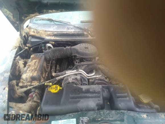 ✅ 2000 Dodge Dakota Sport • VIN: 1B7HG2AZ6YS661541 • Lot: 41674406. Wystawiony na IAAI z przebiegiem 204 117 mil. Bezpłatny archiwum sprzedaży aukcyjnych z USA i szczegółowy raport historii pojazdu na DreamBid. Zdjęcie 10.